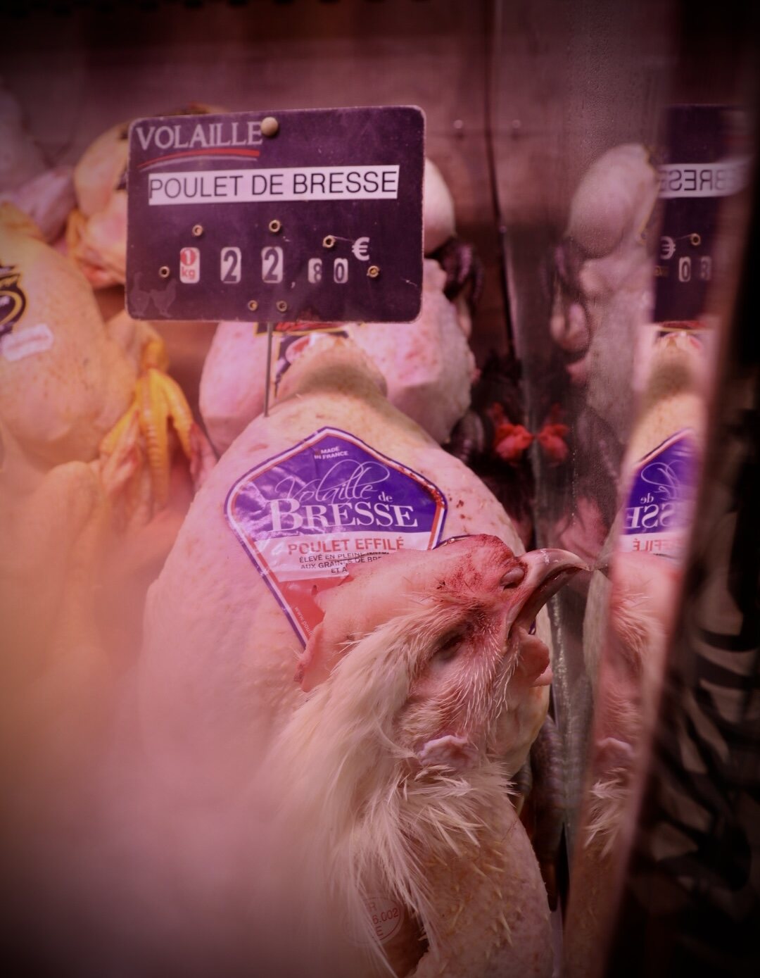 Poulet de Bresse mit Preisschild, im Glas der Vitrine doppelt gespiegelt