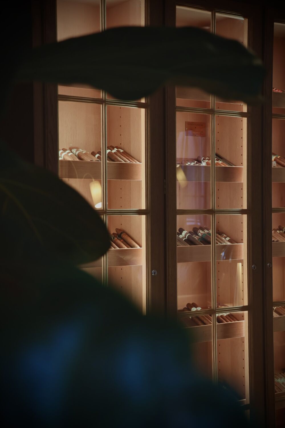 Beleuchteter Humidor mit Zigarren hinter Sprossenfenstern